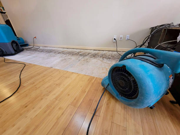 Professional Structural Drying technician working in Beaufort, MO
